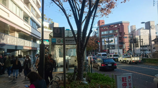 今井杏 複製原画 サイン入り うさぎ 女の子 お昼寝 くまいぬ 今井杏 (@AnneImai) / X